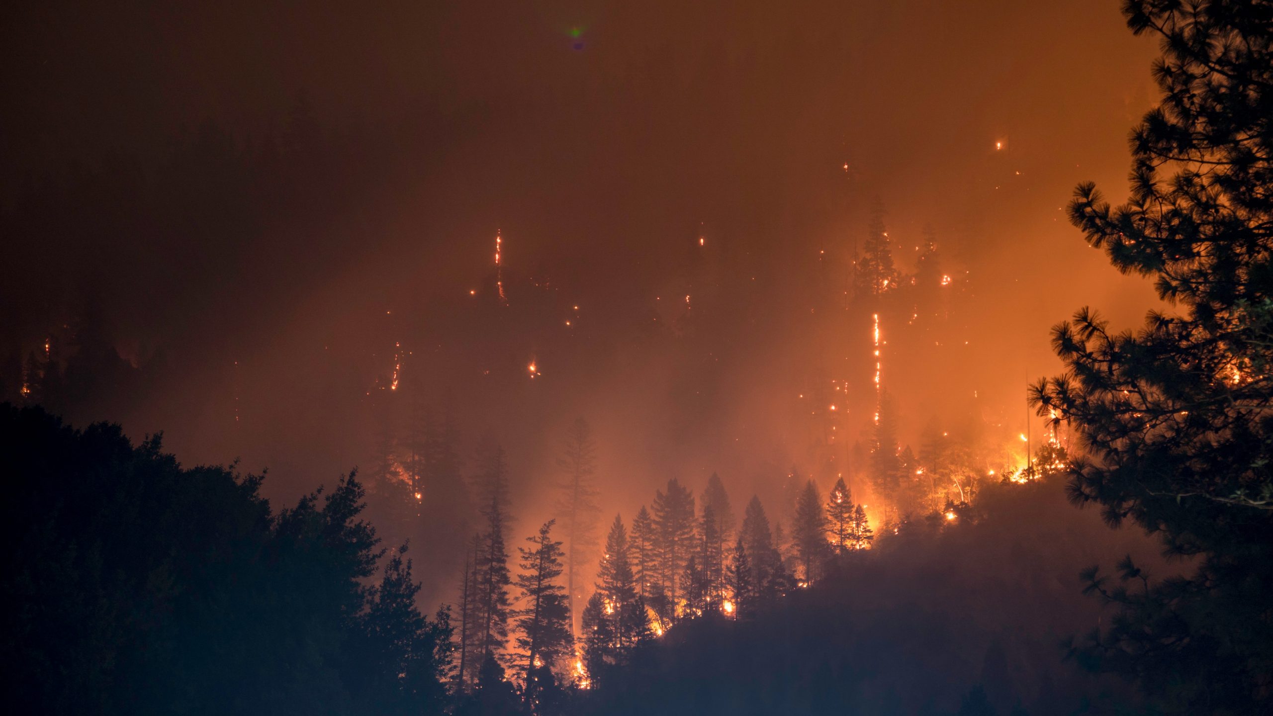 En qué consiste el proyecto de ley que prohibe el uso de suelos afectados por incendios forestales