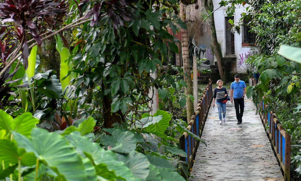 Cómo Medellín logró reducir el calor con corredores verdes