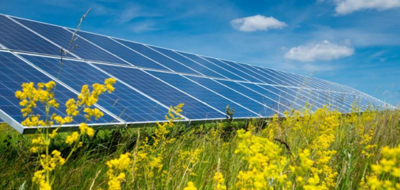 Creación chilena de plantas solares va por premio de innovación latinoamericano