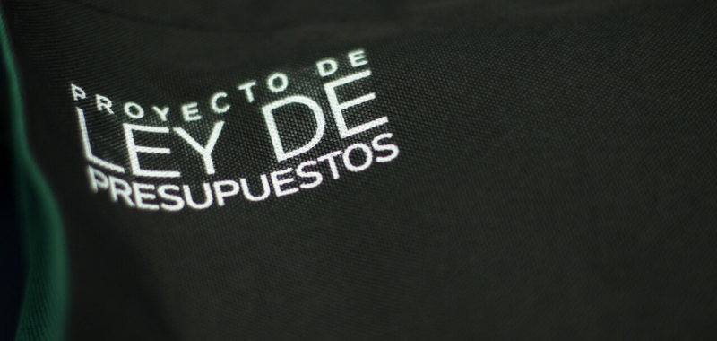 Ley de Presupuesto 2024 considera un 15,3% en inversión habitacional respecto 2023