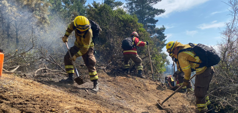 Expertos explican los procesos de tasación de viviendas afectadas por incendios