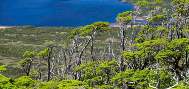 Qué esconde el boom de la venta de islas virgenes en Chile