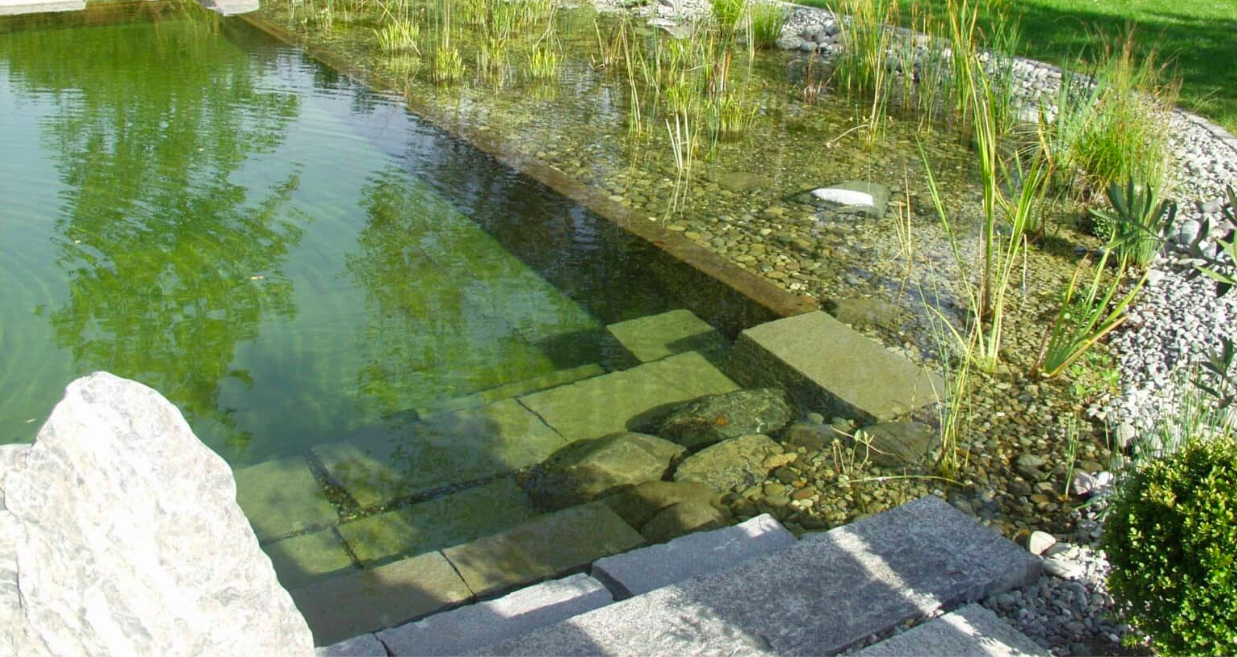 Piscinas Biológicas: La alternativa natural para el descanso y el cuidado del medio ambiente