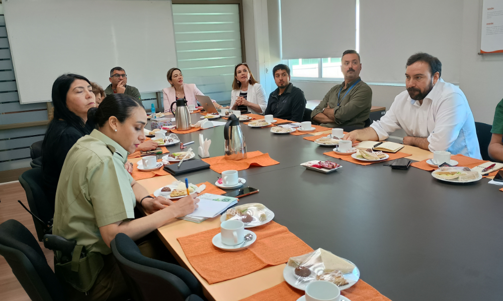 UDLA, organismos regionales y vecinos coordinan jornada de simulación y preparación ante incendios forestales en Villa La Pradera en Viña del Mar