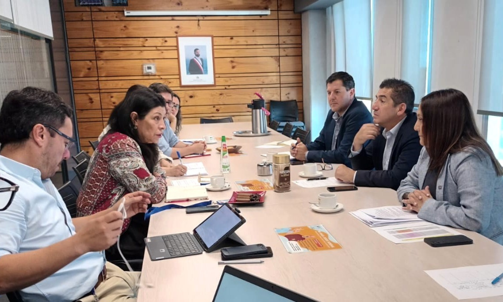 CChC Concepción y Serviu se reúnen para analizar impacto de recorte en subsidios de localización