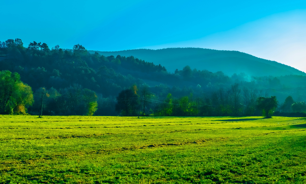 Suelo agrícola registra alzas de hasta 140% en una década, impulsado por la inversión frutícola y la demanda de tierras